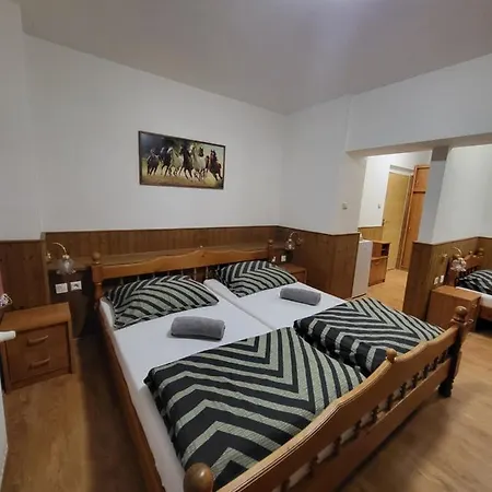 ゲストハウス Pod Lipou 3*